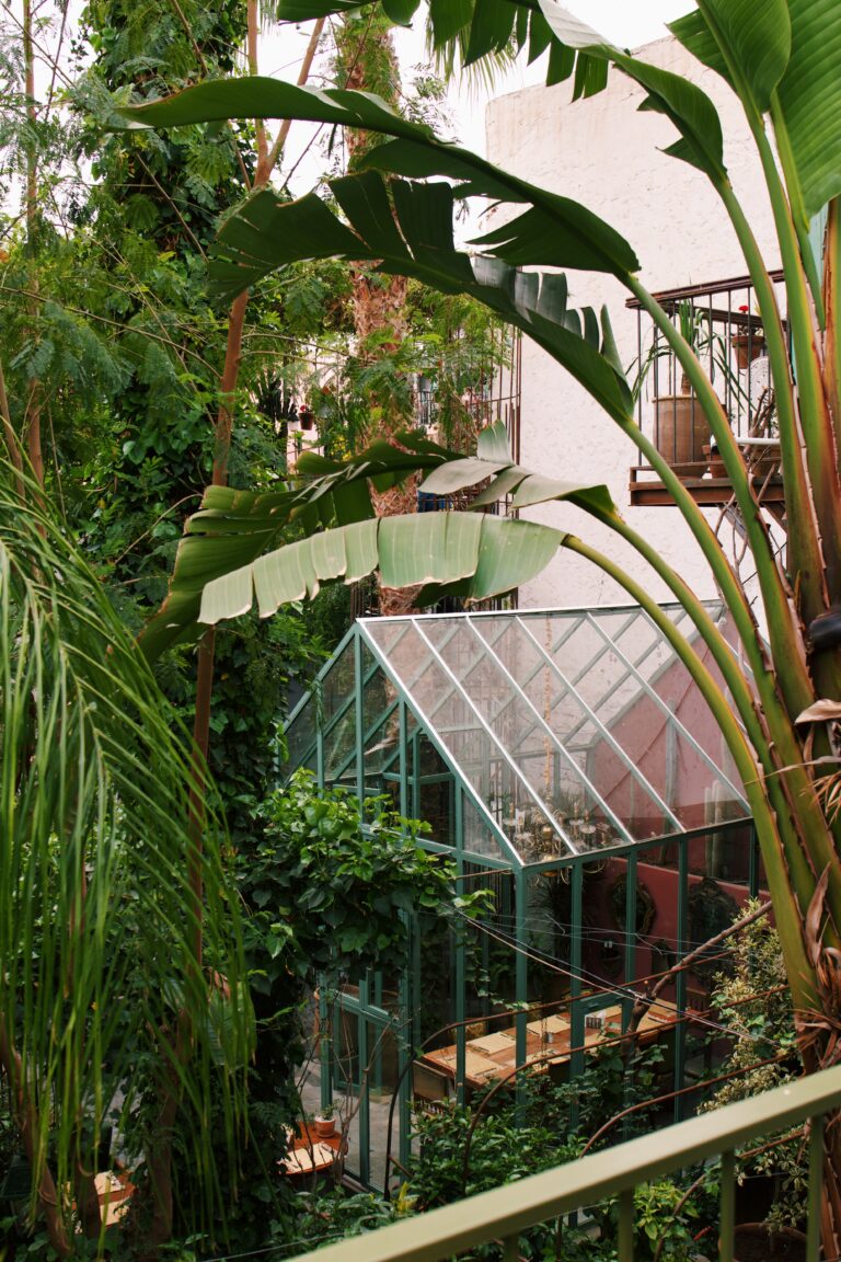 Processed with VSCO with c1 preset