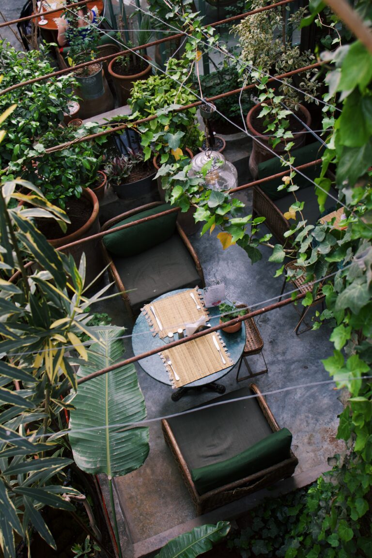 Processed with VSCO with c1 preset