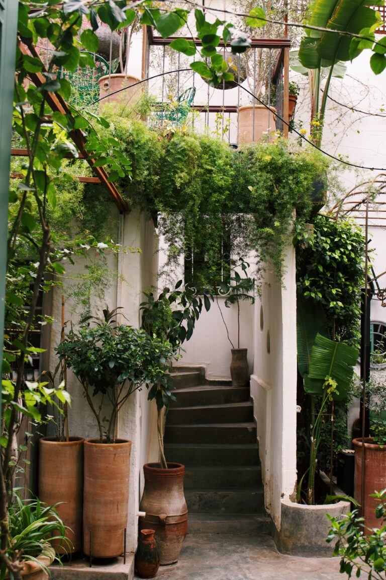 Processed with VSCO with c1 preset