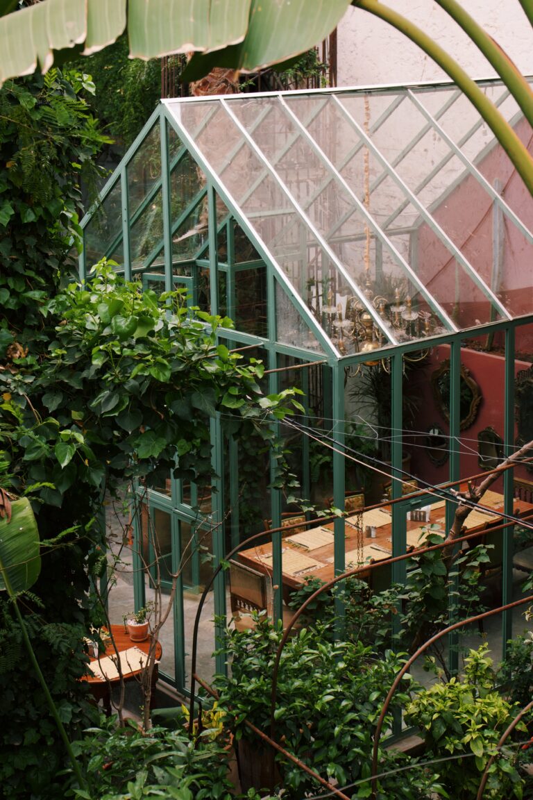 Processed with VSCO with c1 preset