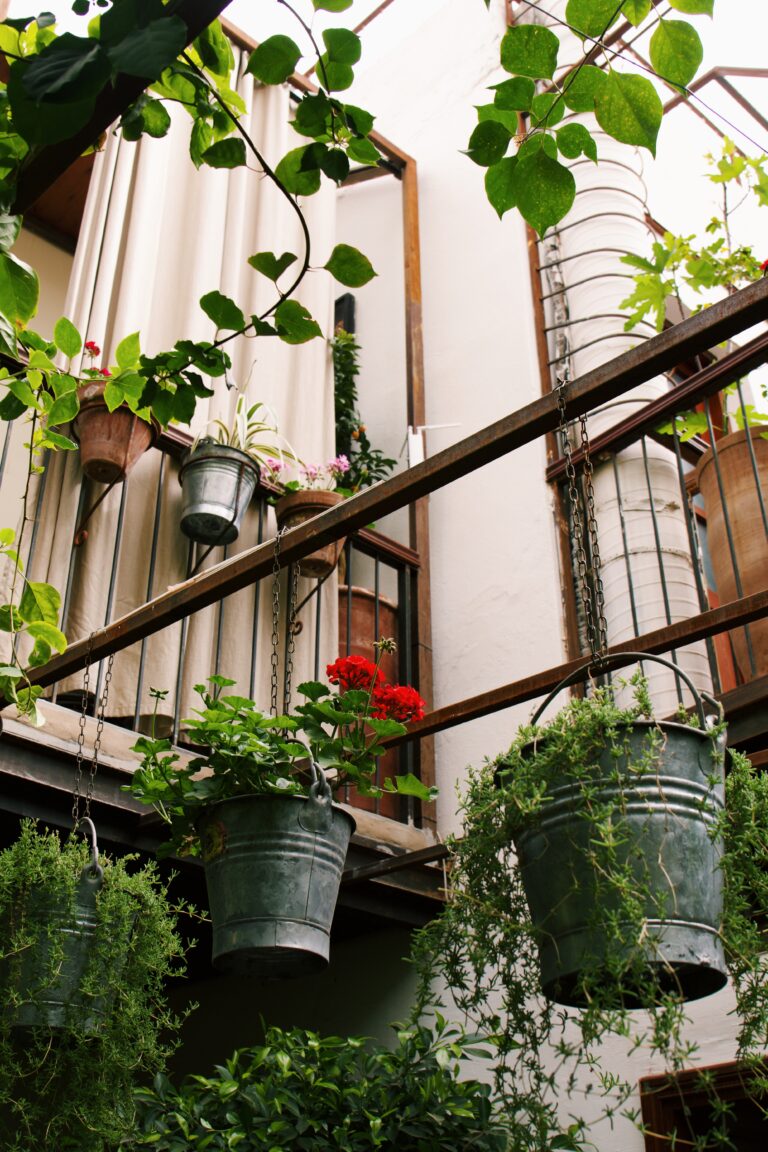 Processed with VSCO with c1 preset