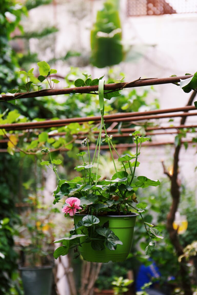 Processed with VSCO with c1 preset