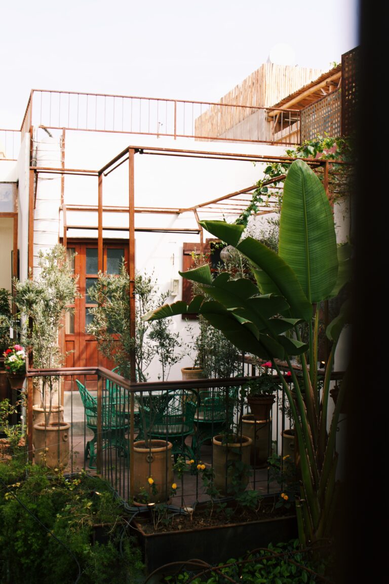 Processed with VSCO with c1 preset