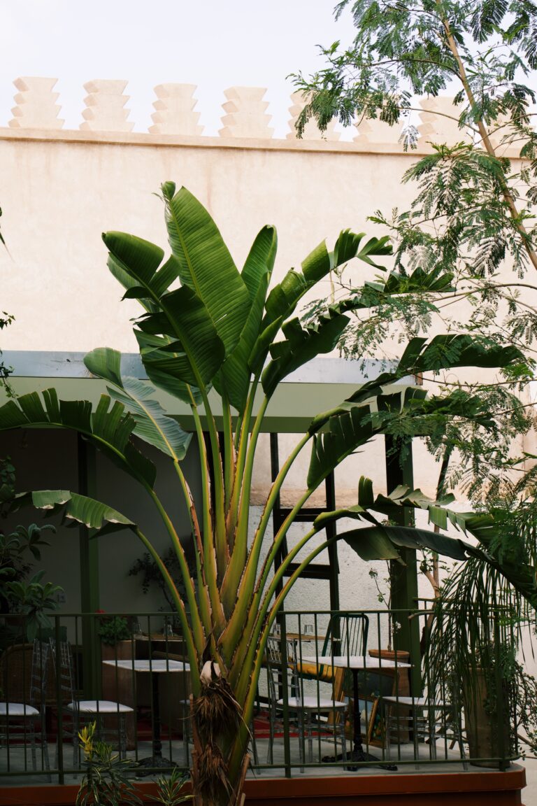 Processed with VSCO with c1 preset