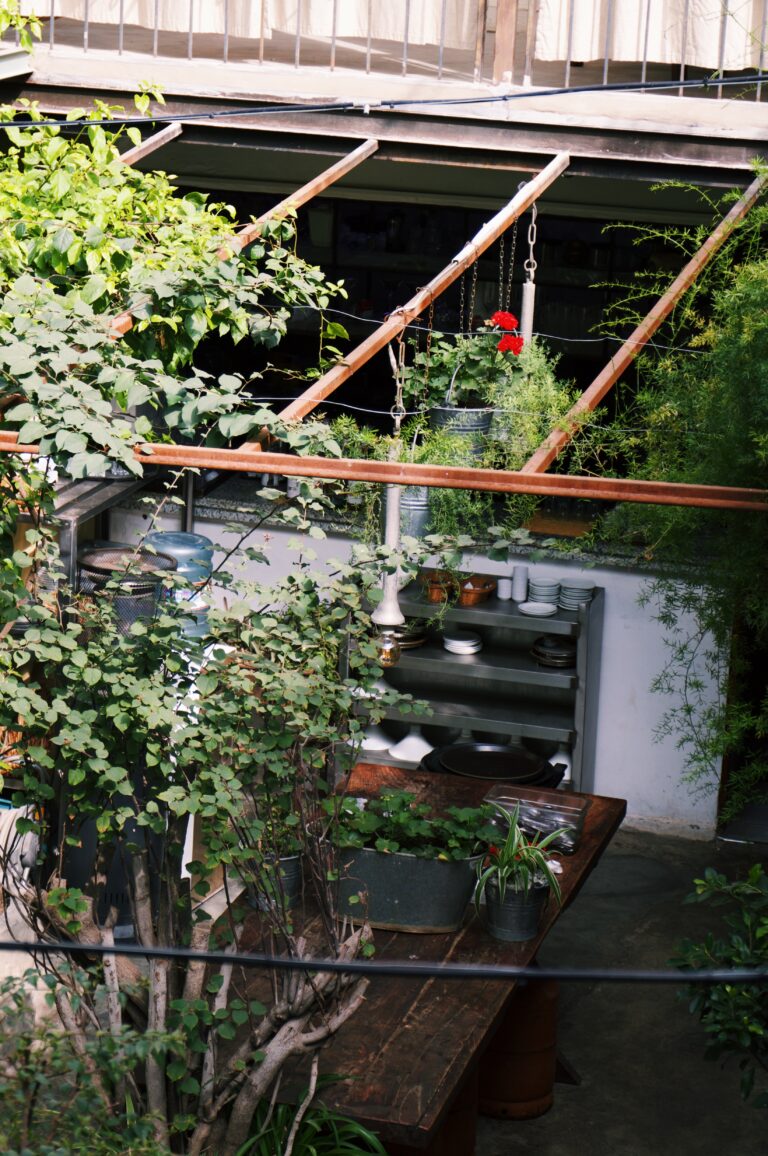 Processed with VSCO with c1 preset