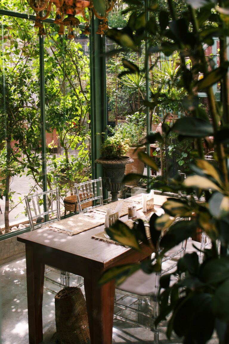 Processed with VSCO with c1 preset