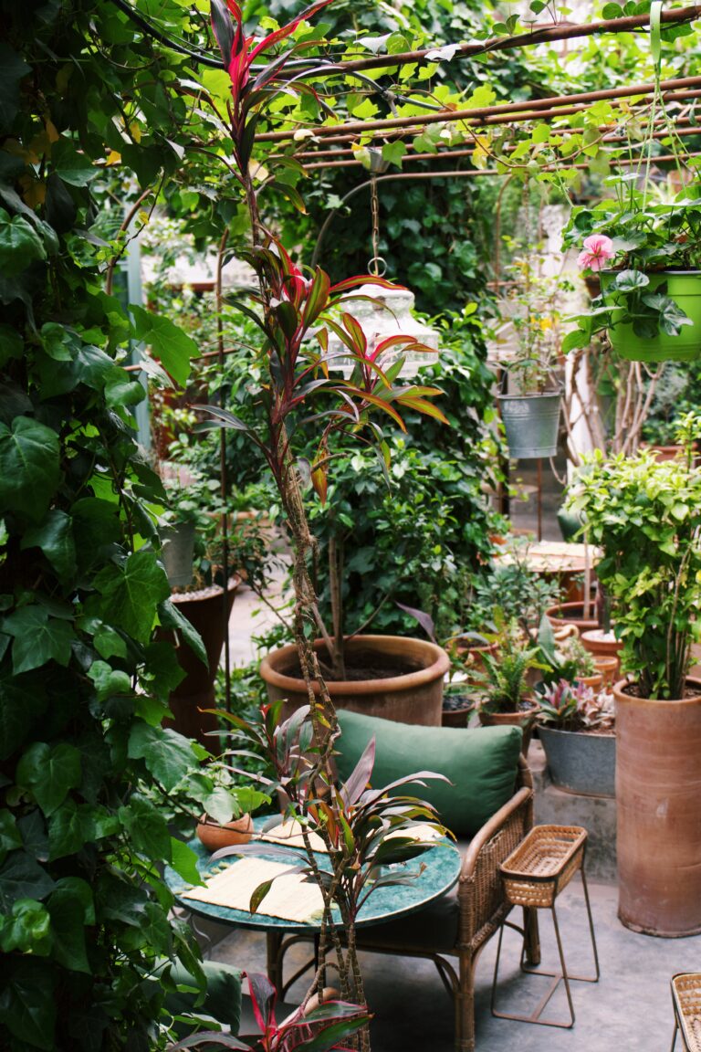 Processed with VSCO with c1 preset