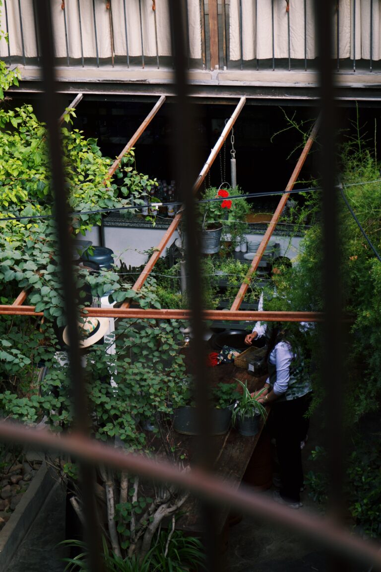 Processed with VSCO with c1 preset